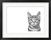 Cat Framed Print