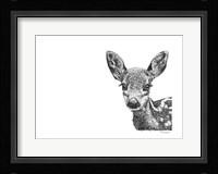 Deer Fine Art Print