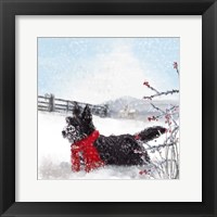 Black Scottie Dog Fine Art Print