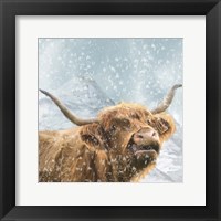 Highland Cow 1 Fine Art Print