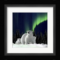 Polar Family 2 Fine Art Print