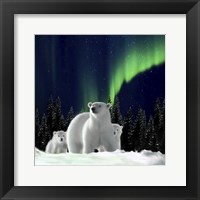 Polar Family 2 Fine Art Print