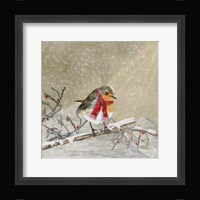 Robin Framed Print