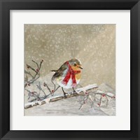 Robin Fine Art Print