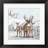 Stag And Females Fine Art Print