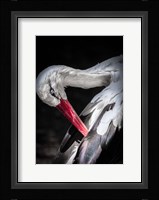 The Stork II Fine Art Print