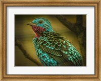 Colorfull Bird V Fine Art Print