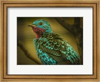 Colorfull Bird V Fine Art Print