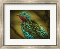 Colorfull Bird V Fine Art Print