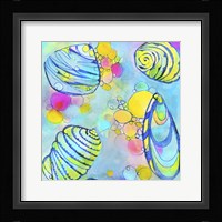 Seashell Fine Art Print