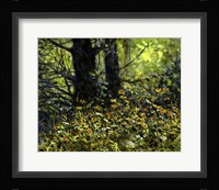 Summer Green Fine Art Print