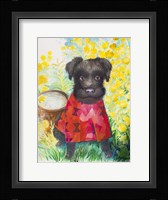 Zverg Schnauzer Dog Framed Print