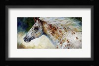 Appaloosa Spirit Fine Art Print
