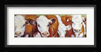 Fab Five Cows Fine Art Print