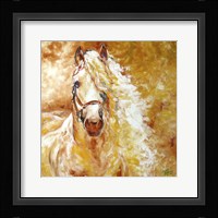Golden Grace Andalusian Equine Fine Art Print