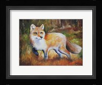 Little Red Fox Fine Art Print