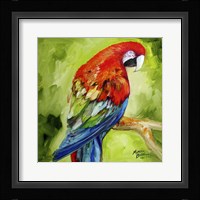 Macaw Tropical Fine Art Print