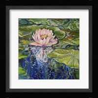 Sweet Lotus Fine Art Print