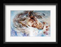 Thunder Appaloosa Indian War Horse Fine Art Print