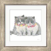Cutie Kitties VIII Fine Art Print