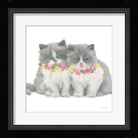 Cutie Kitties VIII Framed Print
