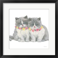 Cutie Kitties VIII Framed Print