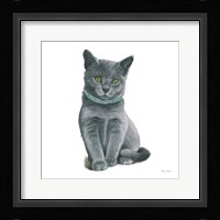 Cutie Kitties VI Framed Print