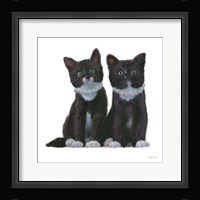 Cutie Kitties IV Fine Art Print