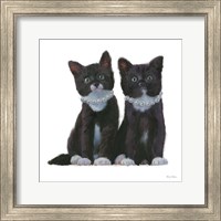 Cutie Kitties IV Fine Art Print