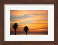 Sunset Palms III Fine Art Print