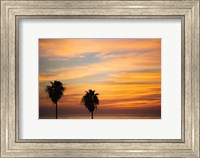 Sunset Palms III Fine Art Print
