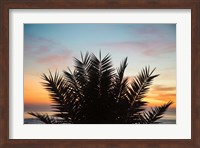 Sunset Palms II Fine Art Print