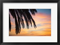 Sunset Palms I Framed Print
