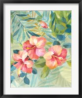 Hibiscus Garden III Fine Art Print