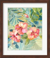 Hibiscus Garden III Fine Art Print