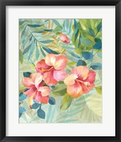 Hibiscus Garden III Framed Print