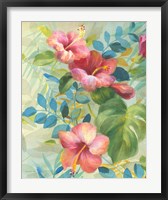 Hibiscus Garden II Fine Art Print