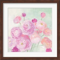 Soft Ranunculus Fine Art Print