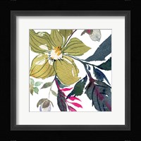 Hellebore Ya Doing I Framed Print