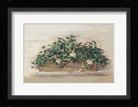 Market Geraniums Farmers Market Crop Framed Print