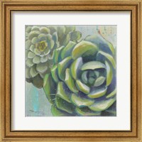 Succulents II Crop Fine Art Print