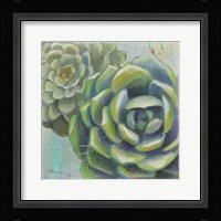 Succulents II Crop Fine Art Print