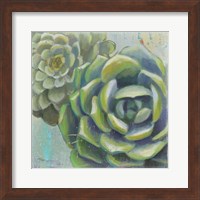 Succulents II Crop Fine Art Print