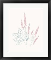 Flowers on White VII Contemporary Fine Art Print