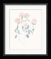 Flowers on White VI Contemporary Framed Print