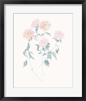 Flowers on White VI Contemporary Framed Print