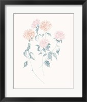 Flowers on White VI Contemporary Fine Art Print