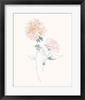 Flowers on White IV Contemporary Fine Art Print