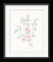Flowers on White II Contemporary Framed Print