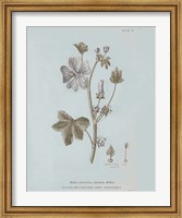 Conversations on Botany VII Blue Fine Art Print